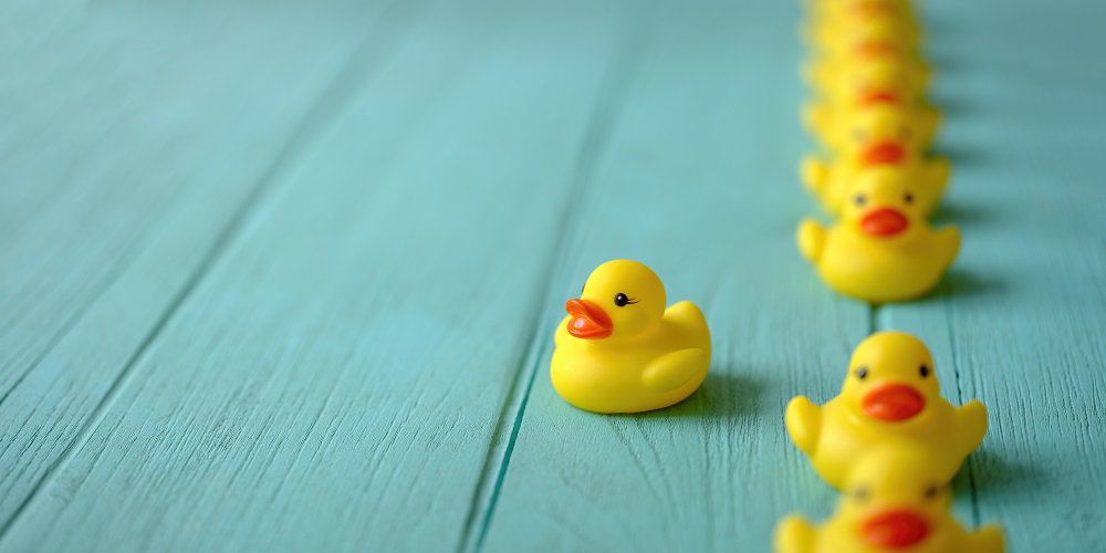 Image: Ducks in a row, highlighting alignment in people, process, and technology, reflecting our services for seamless integration and efficiency.